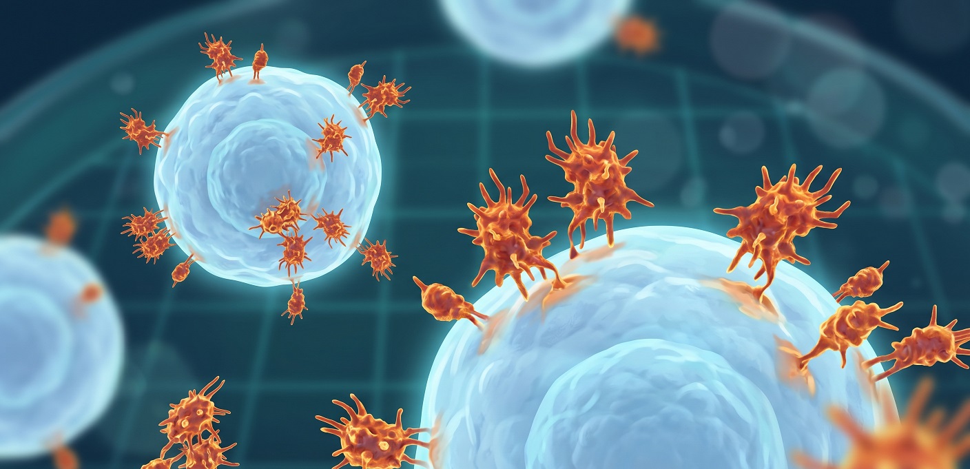 Microscopy-style illustration of lipopolysaccharide endotoxin molecules interacting with mammalian cell membranes in a cell culture environment